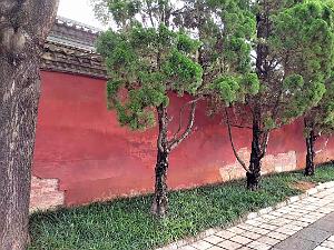 JIUNSHUI TEMPLE DE CONFICIUS (43)